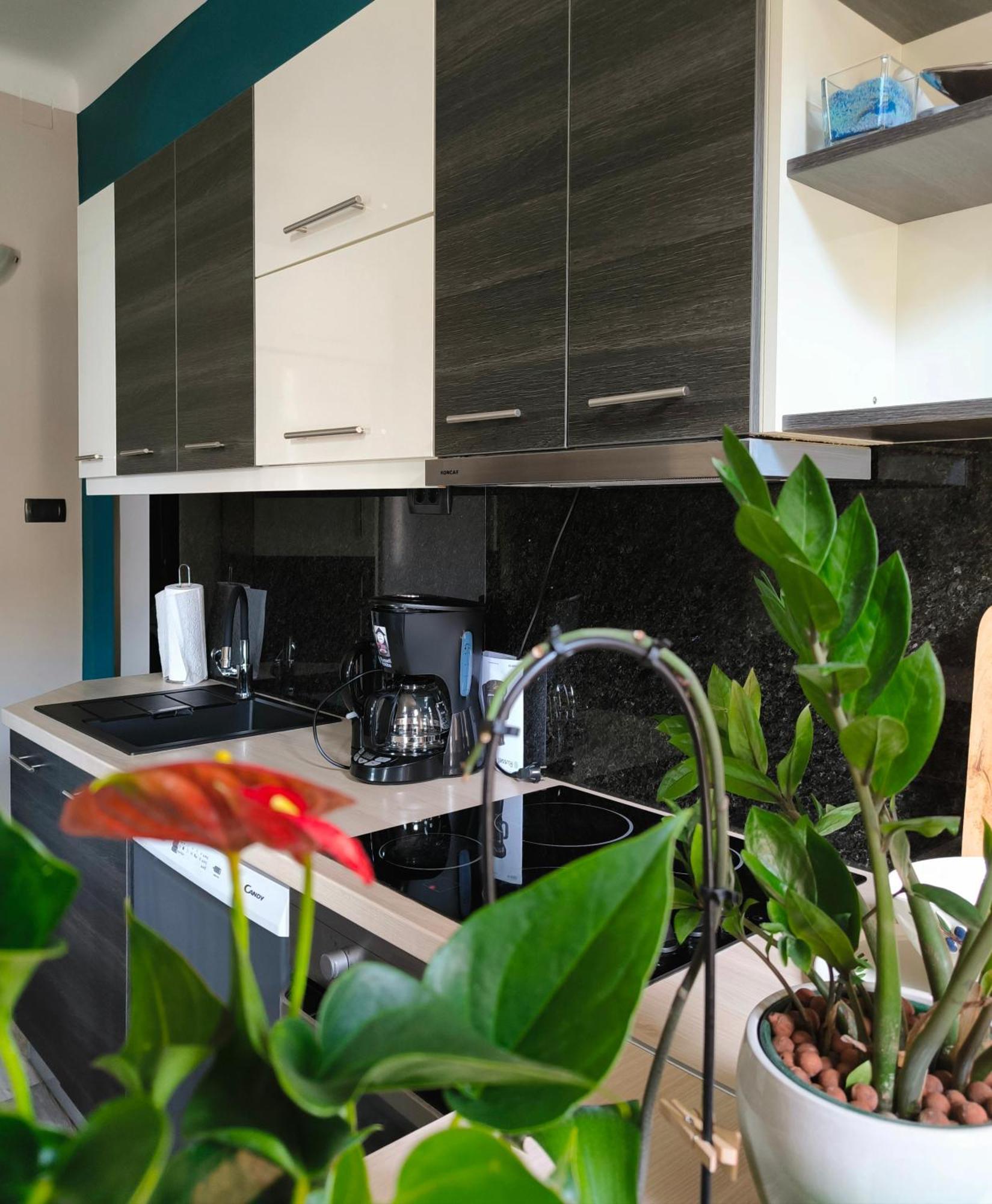 Urban Villa Apartment Опатия Экстерьер фото